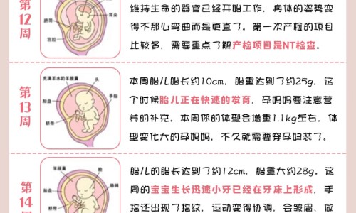 britax区别网 - 为你提供Britax官方网站、Britax官方网站