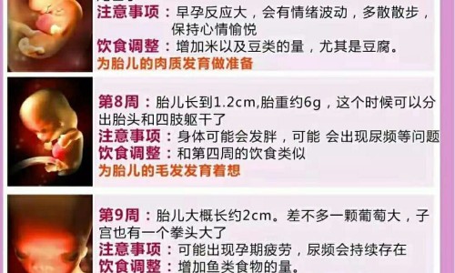 britax区别网 - 为你提供Britax官方网站、Britax官方网站